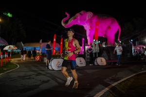 BIB: 
                            <button type="button" onclick="openModal(26552162)" class="btn btn-primary btn-sm float-right btn-popup" data-toggle="modal" data-target=".modal-high-quality">
                        <i class="fas fa-shopping-cart"></i> Add to Cart
                    </button>
                                            <button type="button" onclick="isThisMe(26552162, true)" class="btn btn-success btn-sm float-right btn-popup btn-isme hidden" data-toggle="tooltip" data-placement="bottom" title="นี่คือรูปของคุณใช่ไหม คลิกที่นี่เพื่อเอาเข้าอัลบั้ม">
                        <i class="fas fa-plus"></i> Add to album
                    </button>
                    <button type="button" onclick="isThisMe(26552162, false)" class="btn btn-warning btn-sm float-right btn-popup btn-isnotme hidden">
                        <i class="fas fa-ban"></i> Remove from album
                    </button>